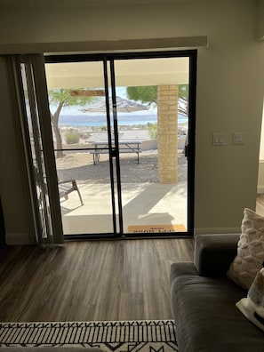 Smart TV, fireplace, books