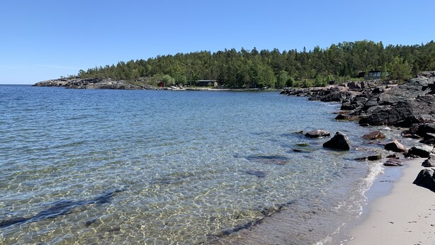 Ein unberührter Strand mit felsiger Küste und einer bewaldeten Hügelkette im Hintergrund.