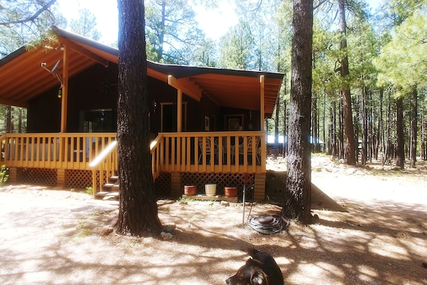 Kulak Cabin