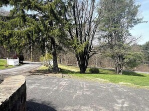 Stroll along a serene tree-lined street in a peaceful natural setting.