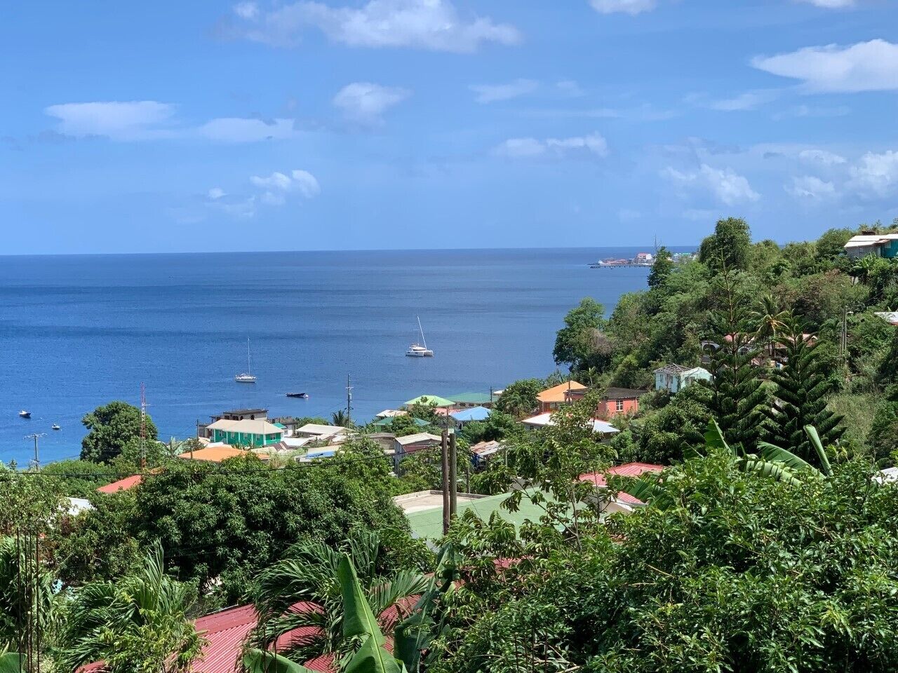 A coastal town with houses, boats, and lush greenery.