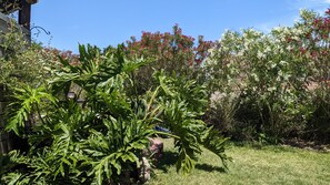 Stroll through the serene garden, surrounded by a variety of lush plants and trees.