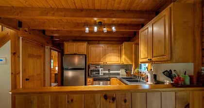Perfect Cabin in the Woods! Hot Tub, Fire Pit, WI-FI, Central A/C