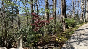 A forested area with a concrete path, a wooden fence, and a stone wall. - Stunning panoramic mountain views-close to town! (Highlands)