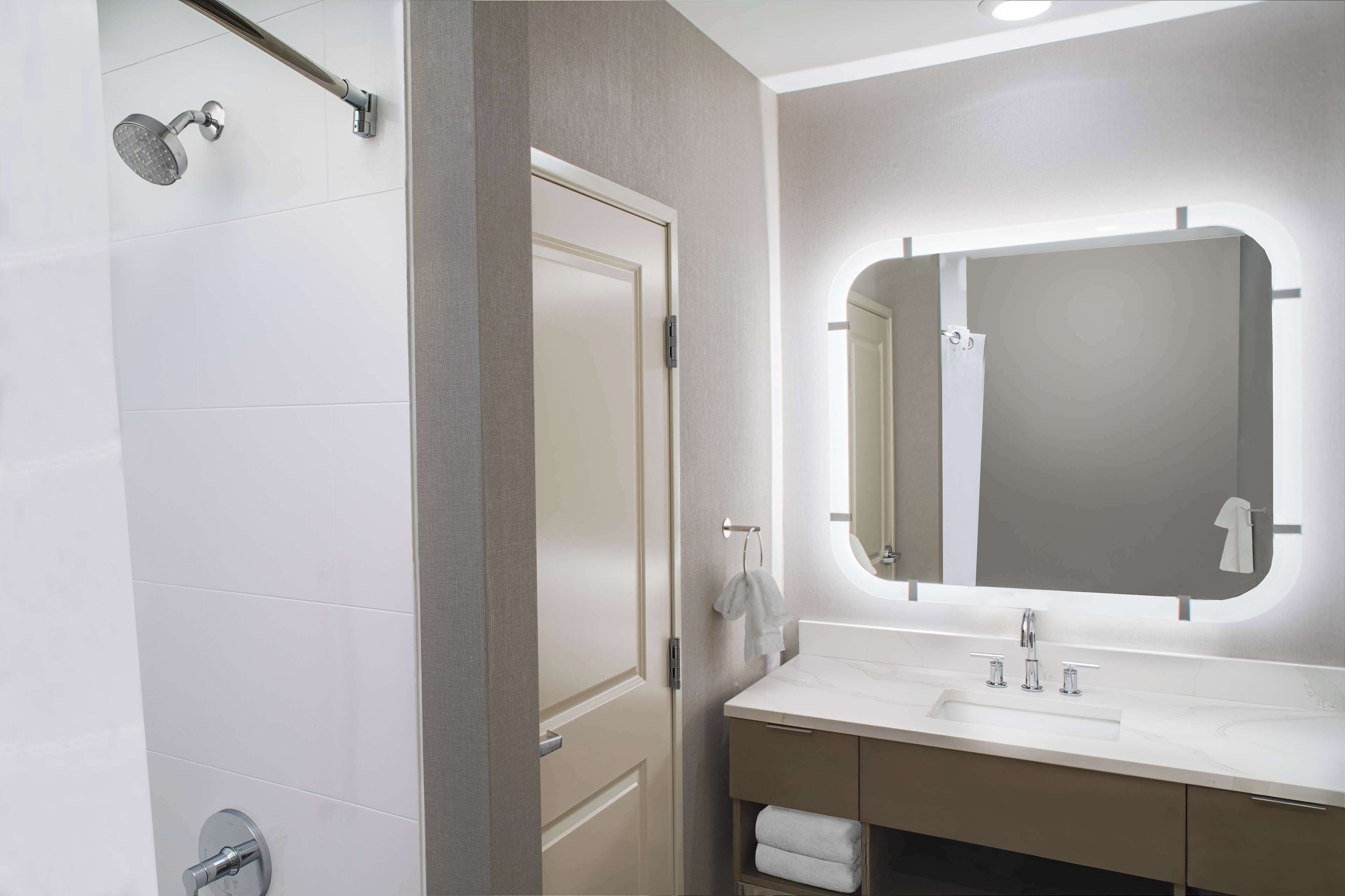 A modern bathroom with a shower, a sink, and a mirror.