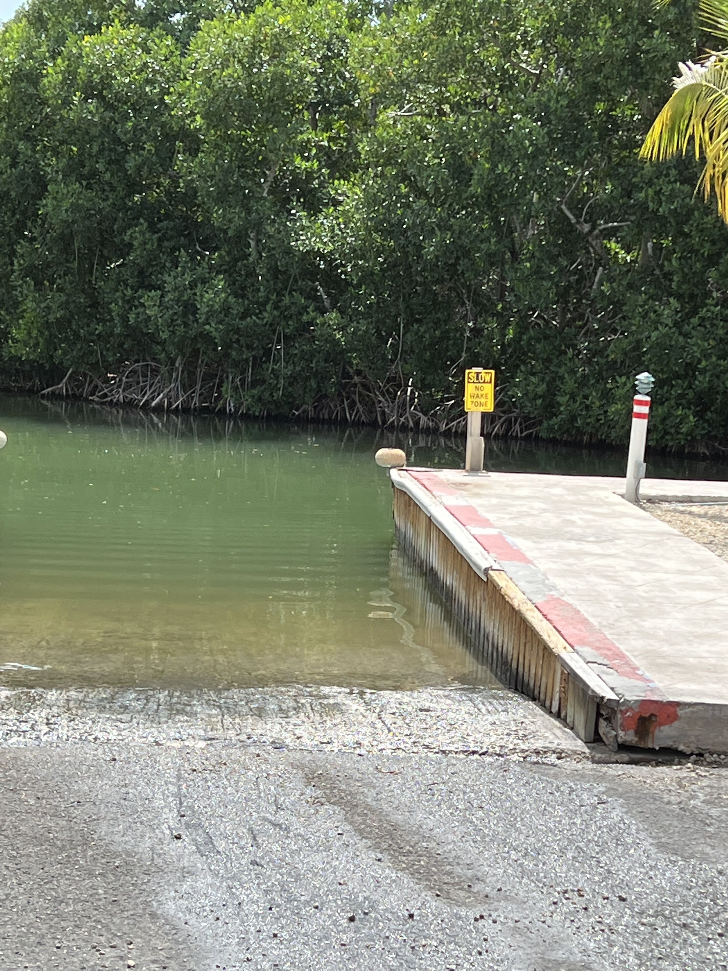 A concrete dock extending into a body of water with dense foliage in the background.