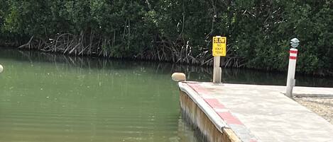 A concrete dock extending into a body of water with dense foliage in the background.