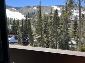Interior - Spend Easter 2023 in Vail! (Vail)