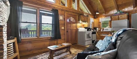 TV, fireplace, offices