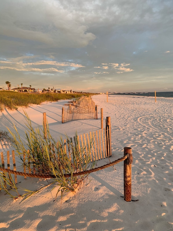 Playa en los alrededores