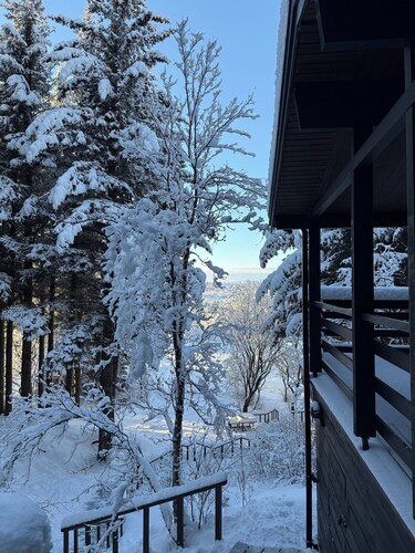 The Secret Cabin with hot tube in nature reserve close to Reykjavik 