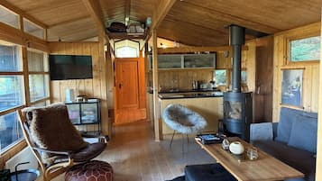 Smart TV, fireplace, DVD player, books