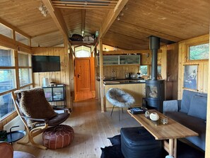 Smart TV, fireplace, DVD player, books