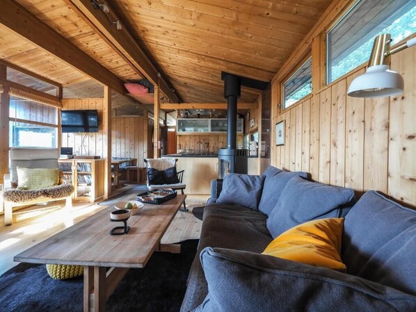 Smart TV, chimenea, reproductor de DVD, libros