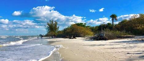 Sun loungers, beach towels