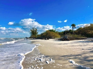 Ein Strand mit blauem Himmel, Wellen und Bäumen.