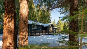 Property grounds - Spacious Modern Mountain Home - Pinecrest & Dodge (Tuolumne County)