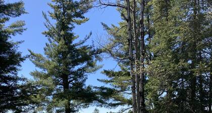 Waterfront Adirondack privacy while walking to Old Forge village