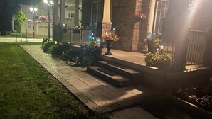 Un espace extérieur bien éclairé, avec un chemin de pierre menant à une entrée abritée, des plantes en pot et une clôture.