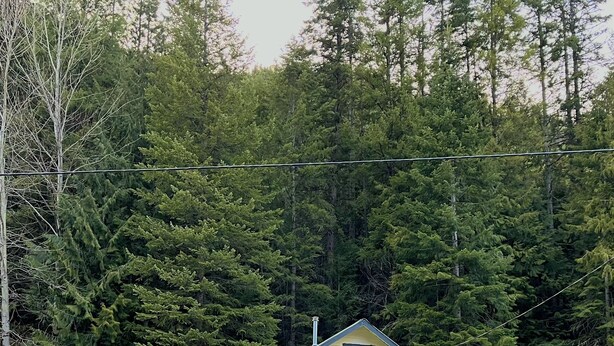 A single-story house with a gabled roof, a front porch, and a garage. - Cozy retreat with canyon views, sound of the river, and the smell of the pines.  (Wallace)