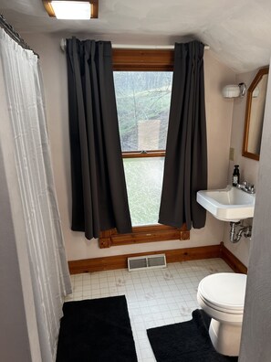 Combined shower/tub, hair dryer, towels, soap - The Guest House (Boscobel)
