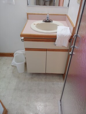 Combined shower/tub, jetted tub