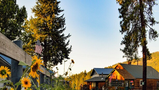 A rustic building with a wooden facade, a gravel driveway, and a row of sunflowers in a planter. - Columbia Point Resort (Kettle Falls)