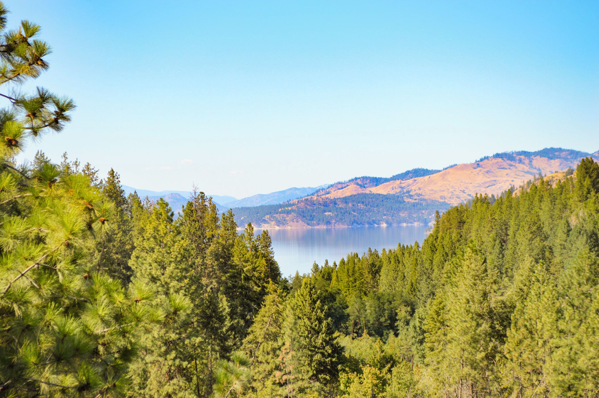 A mountainous landscape with dense forests and a lake.