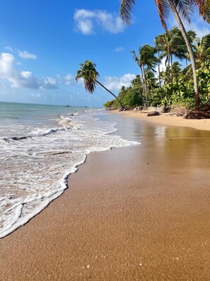 Beach nearby, white sand - Pousada Sunshine Patacho (Porto de Pedras)