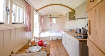 Thyme Shepherds Hut Boundary Farm Air Manage Suffolk
