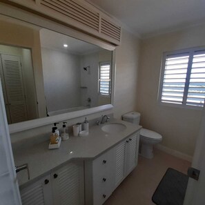Combined shower/bathtub