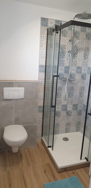 Ducha, secador de pelo, papel higiénico