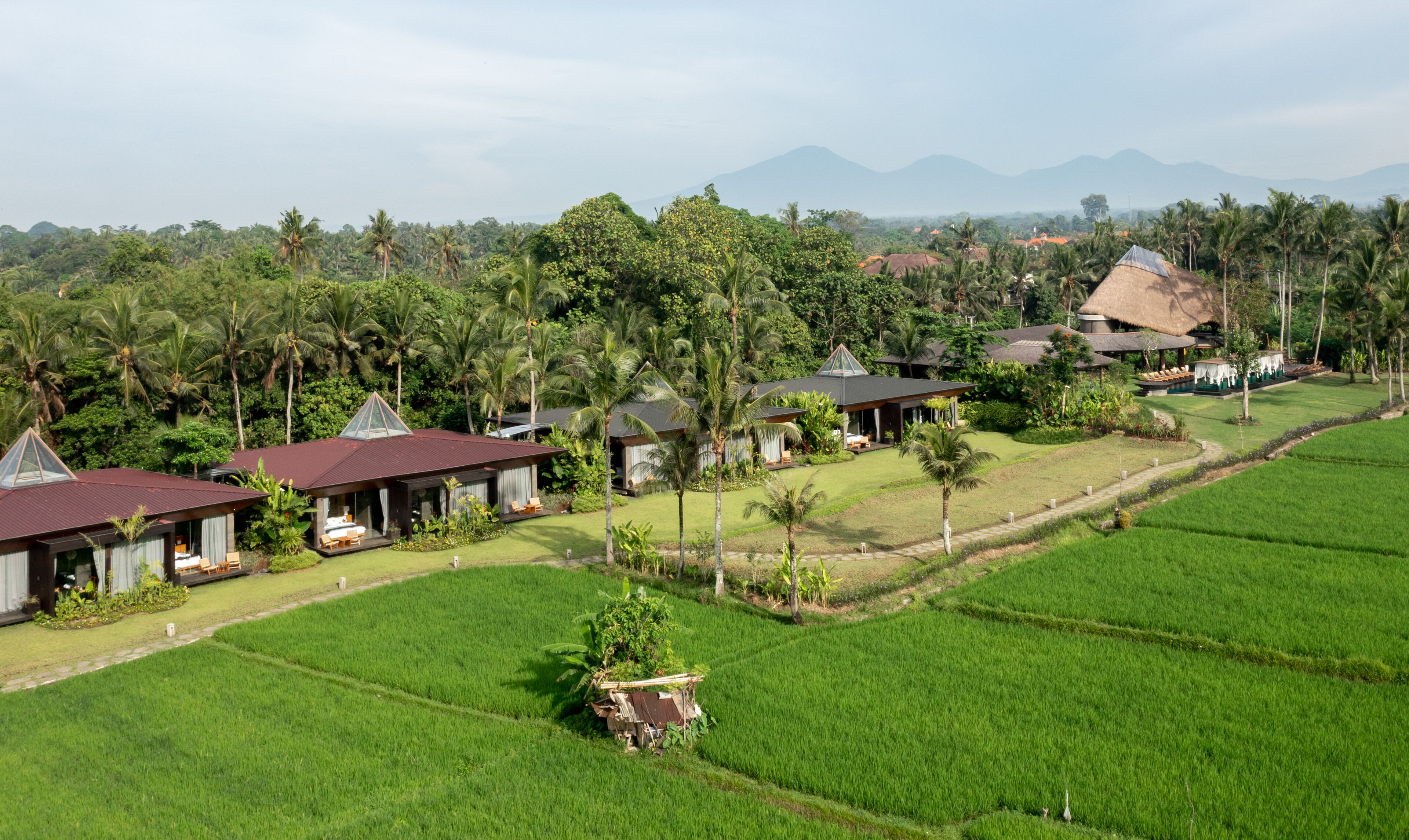 A rural landscape with several thatched-roof houses surrounded by lush greenery and fields.