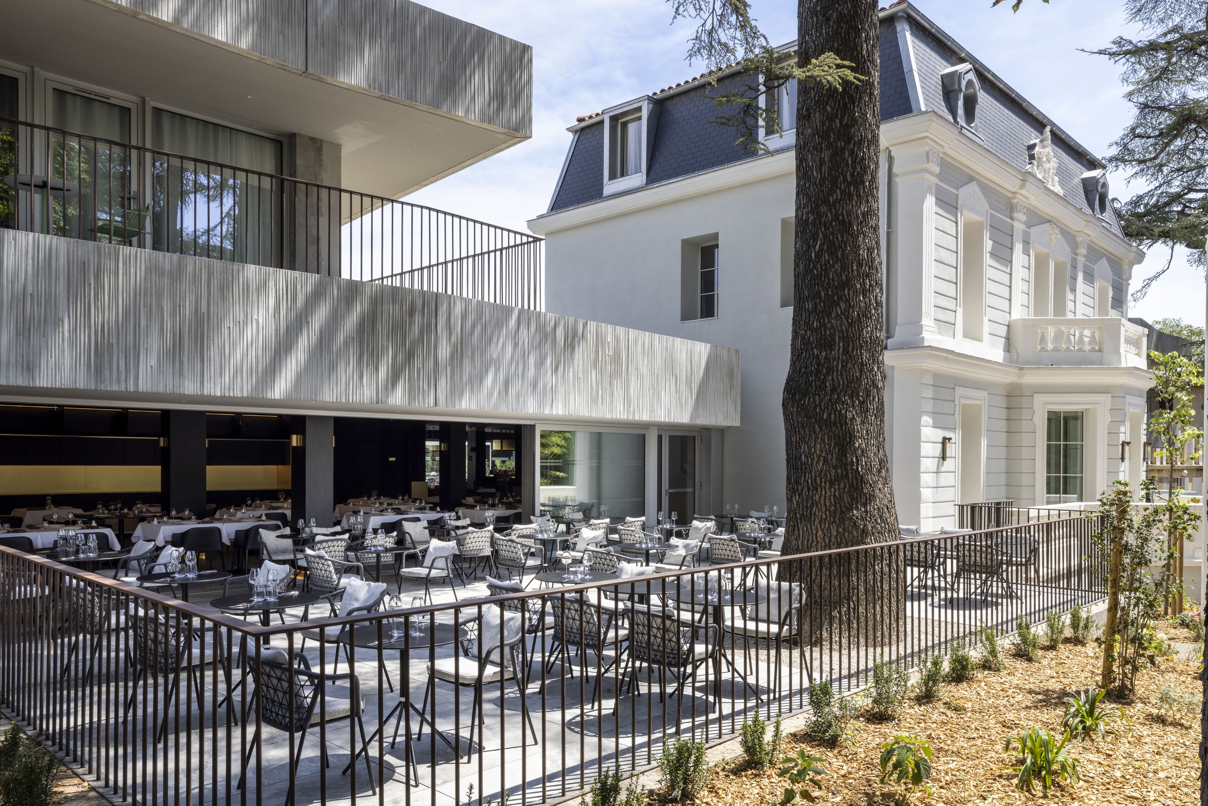 Un área de comedor exterior moderna con mesas y sillas, un árbol grande y un edificio con balcón.