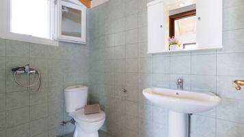 A bathroom with a toilet, shower, and sink.