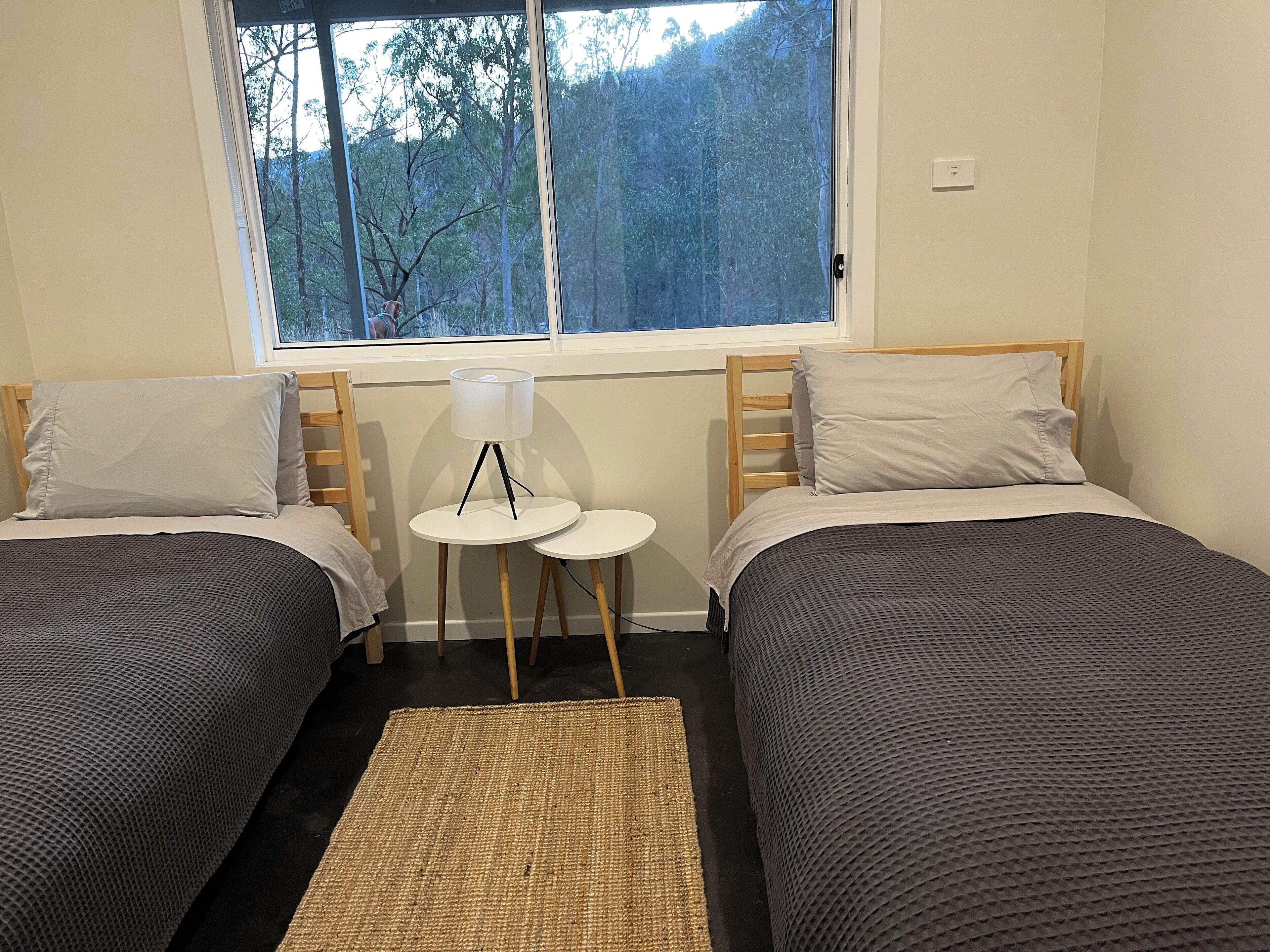 A room with two beds, a small table with a lamp, a window with a view of trees, and a woven rug.