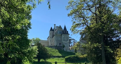 6 Bedroom Castle in Saint-Germain-sur-Vienne