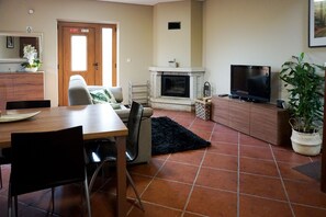 TV, fireplace, books