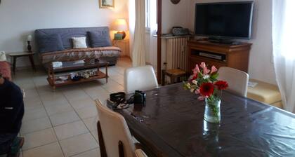 Location SaisonniĂšre Appartement T3 de 55  m2