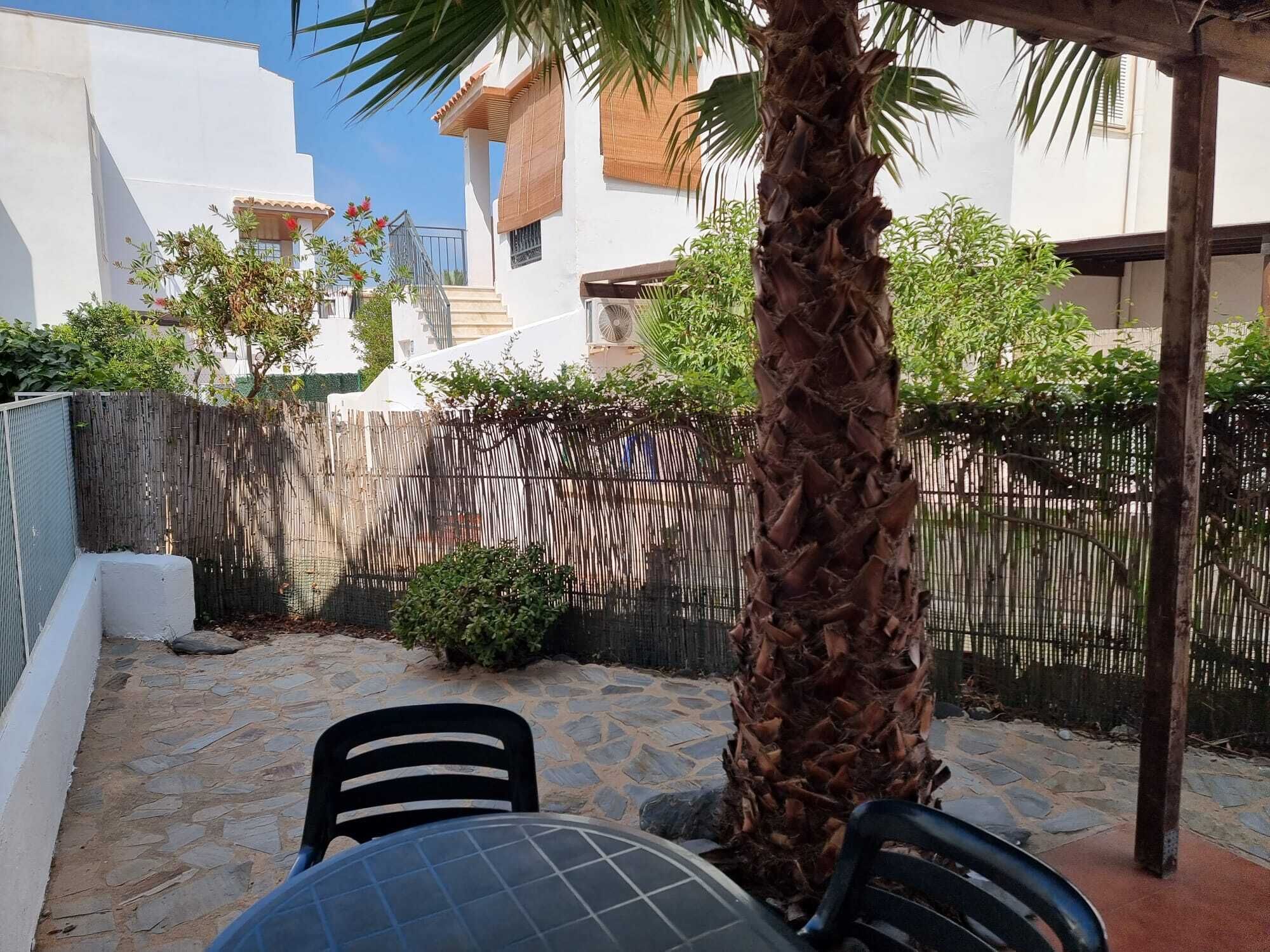 Eine Terrasse mit Steinboden, einer Palme und einem Bambuszaun.