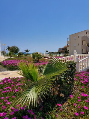 Property grounds - Naturist house with courtyard in first line! (Vera)