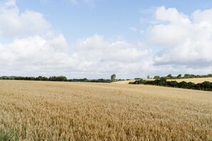 Basic Apartment | View from room - Lundseje Hønsehus (Hornsyld)