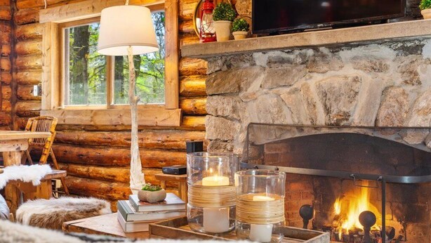 A cozy log cabin interior with a stone fireplace, a television mounted above it, and a window with a view of trees. - Chic, updated log cabin nestled in the pine trees of Sprucewold! (Boothbay Harbor)