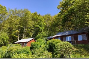 Two cozy cabins blend seamlessly into the surrounding forest, offering a secluded retreat amidst lush greenery.