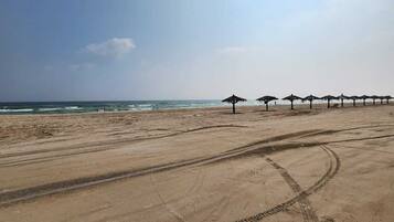 Navette gratuite vers la plage, chaises longues, parasols
