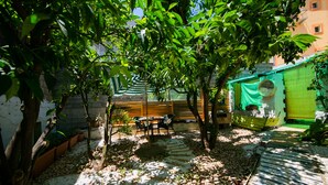 Un espace jardin aménagé avec un chemin de gravier, du mobilier en bois et des plantes en pot.