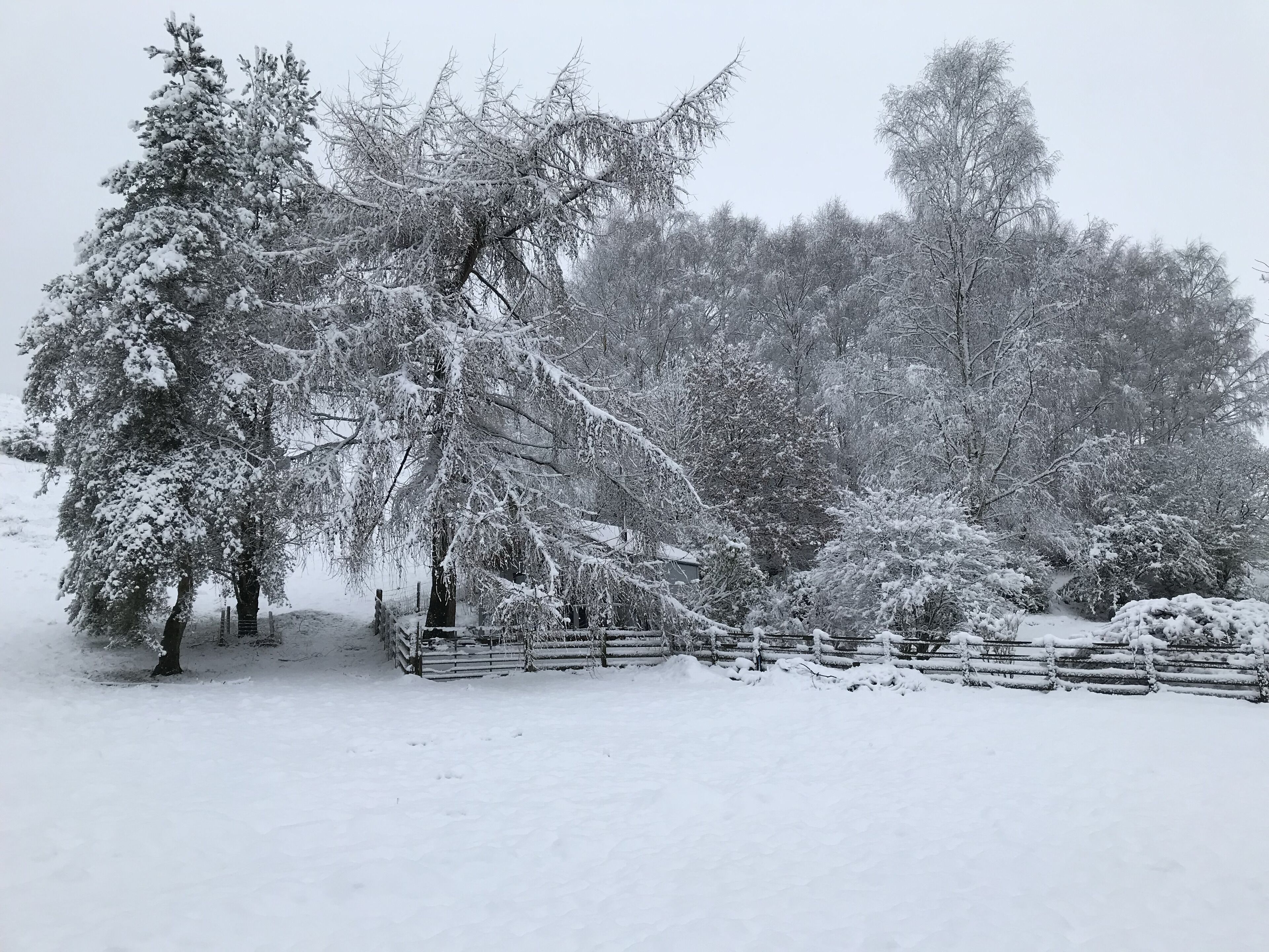 Enceinte de l’hébergement