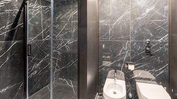 Shower, hair dryer, bidet, towels