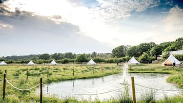 Eksteriør