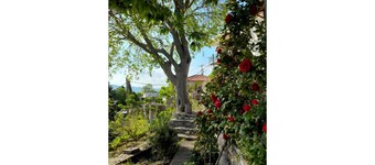 Akovos Cottage Garden Retreat